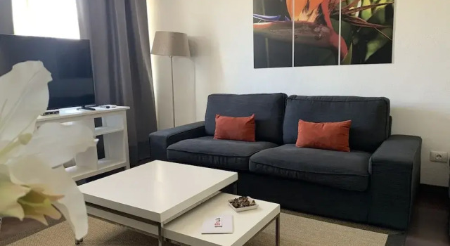 Номер Superior Пентхаус с 2 комнатами с балконом Apartamentos Bruja