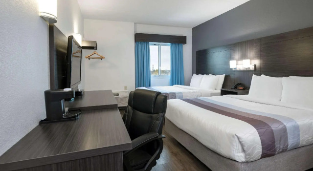 Четырёхместный номер Standard Comfort Hotel