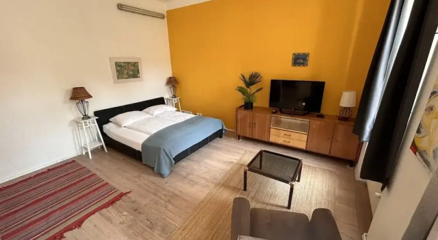 Apartment Yellow Palm