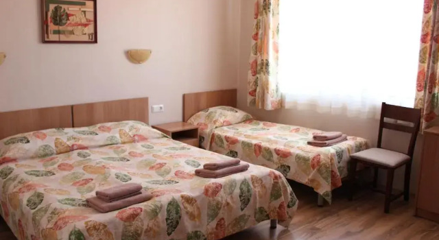 Номер Standard Hotel Radik