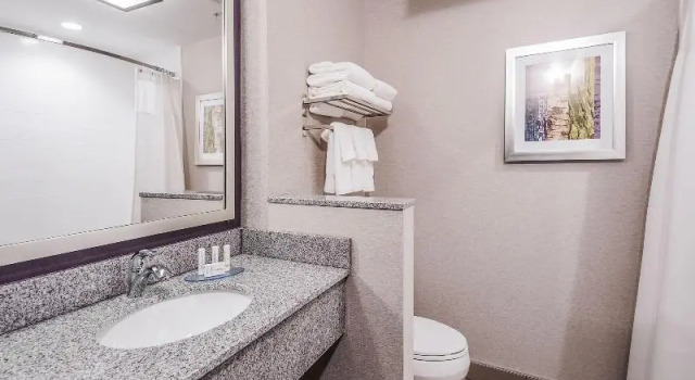 Номер Executive Fairfield Inn & Suites by Marriott Chicago Schaumburg