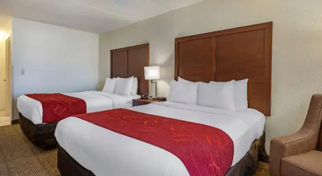 Шестиместный номер Standard Comfort Inn Kissimmee-Lake Buena Vista South