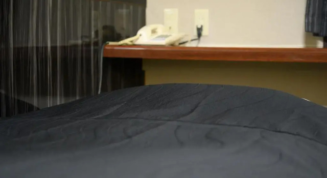 Номер Deluxe Tabist Business Toyama Urban Hotel
