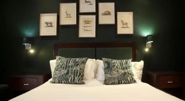Люкс Deluxe KAROO ART HOTEL 4 Star
