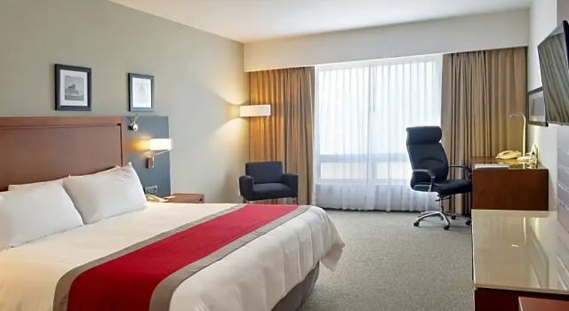 Номер Business Radisson Poliforum Plaza Hotel Leon