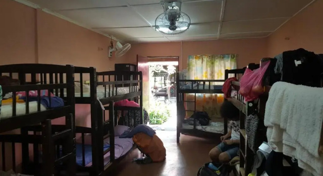 Кровать в общем номере Gecko Guesthouse