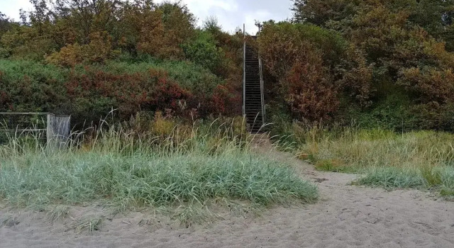 Коттедж 8 Person Holiday Home in Jaegerspris