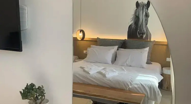 Номер Standard ALIRENE MYKONOS