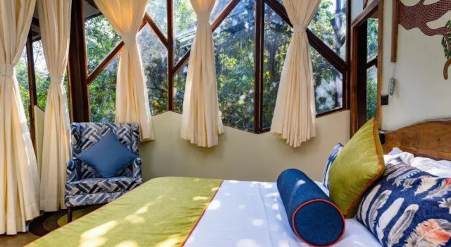 Люкс Kanha Jungle Camp