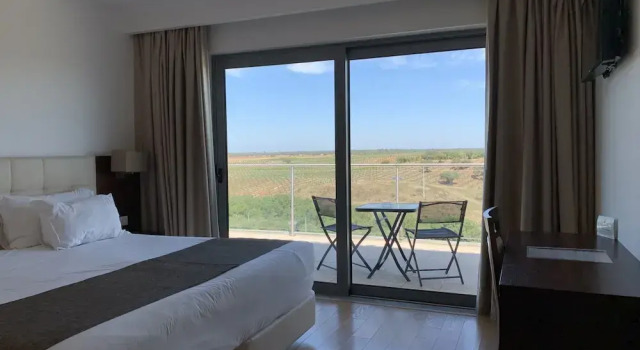 Двухместный номер Standard с балконом Hotel O Gato & Spa
