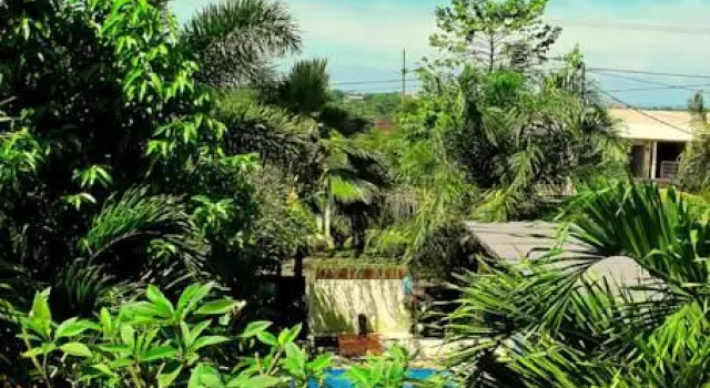 Mango Surf Lodge, Reservar Hotel Hotéis em Bali com piscina, Piscina