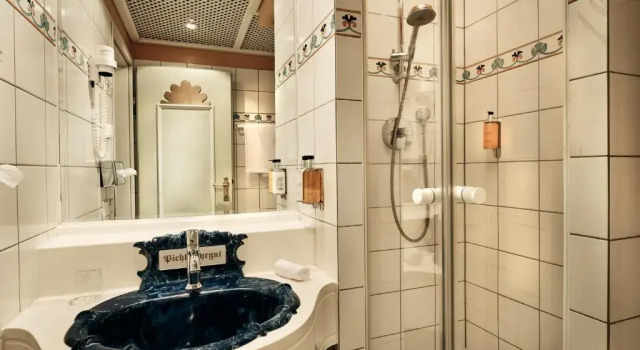 Номер Standard Hotel Pichlmayrgut