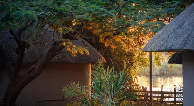Standard Doppel Zimmer mit Gartenblick Chobe Safari Lodges