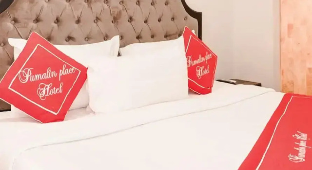 Семейный номер Standard Pumalin Villa
