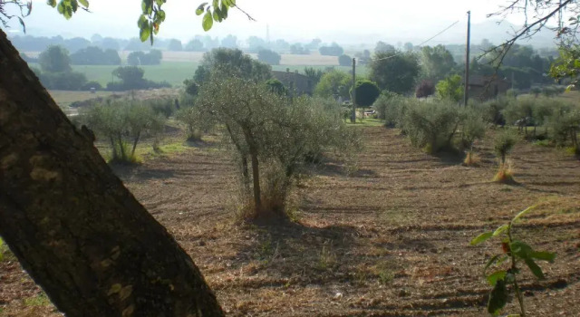 Двухместная студия Azienda Agrituristica I Tre Casali
