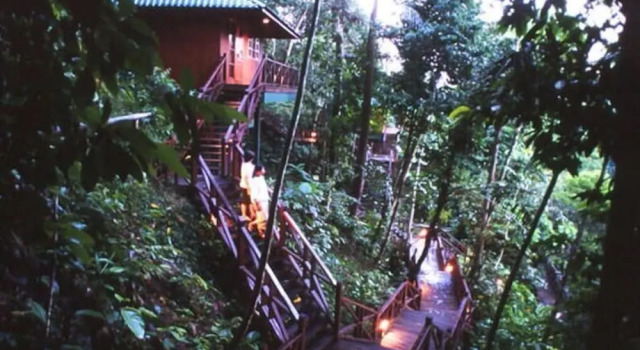 Номер Standard Tabin Wildlife Resort