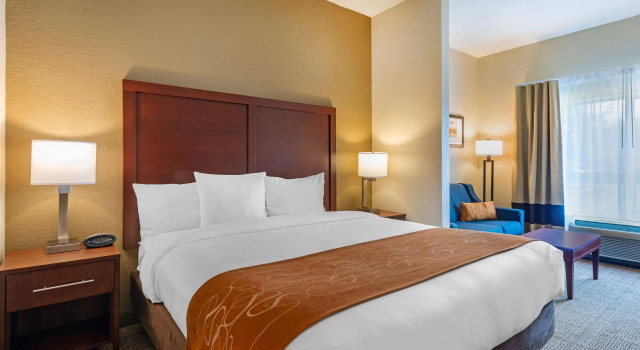 Comfort Suites Downtown