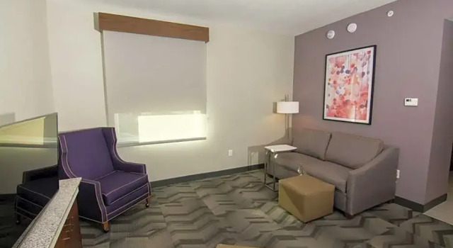 Четырёхместный номер Standard с 2 комнатами Hilton Garden Inn Tampa Suncoast Parkway