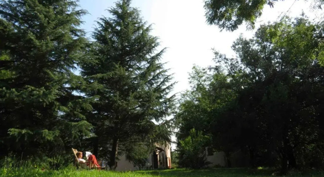Номер Standard Agriturismo Bethsaid