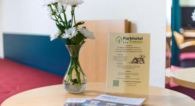 Номер Economy Akzent Parkhotel Trebbin