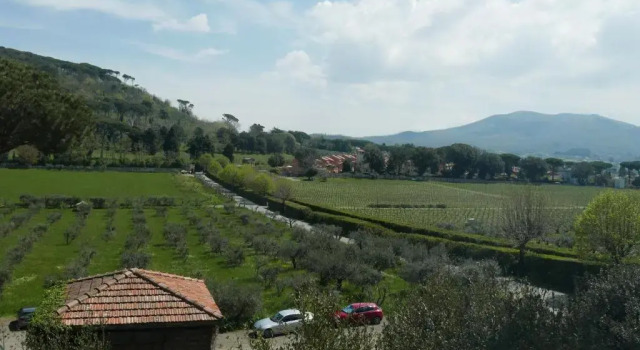 Апартаменты Villa Cavalletti Appartamenti