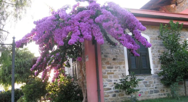 Agriturismo La Vigna, Book Hotel Chiusanico Ligurien