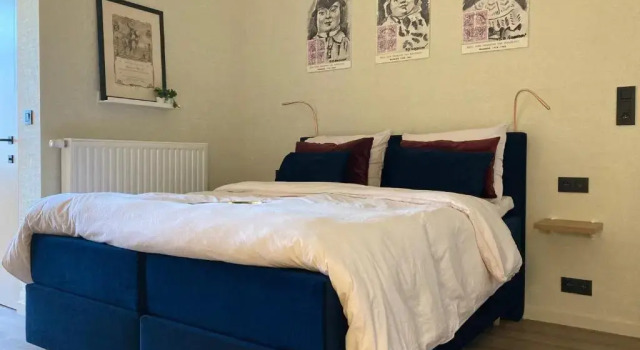 Номер Superior Borgerhouse B&B