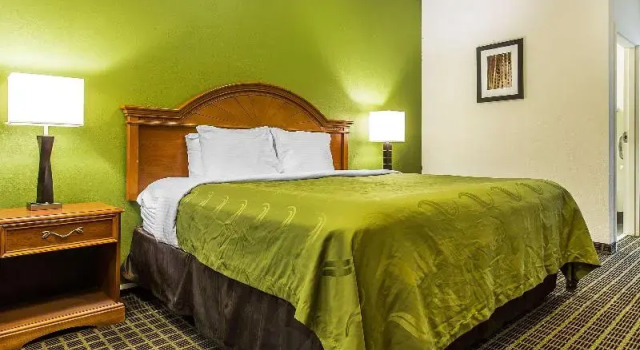 Номер Standard Quality Inn & Suites Orangeburg