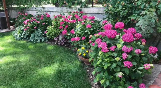 Апартаменты Il Giardino della Fortezza