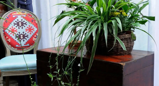 Peking Station Hostel, Забронировать Хостел Хостелы Пекина, рядом с Улица Ванфуцзин, Хостел