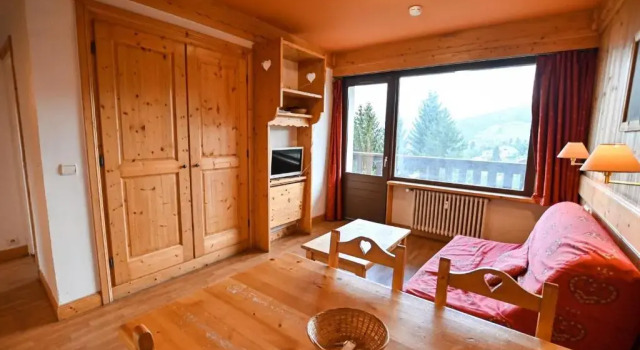 BRIGHT 45 m with VIEW of the Mont-Blanc