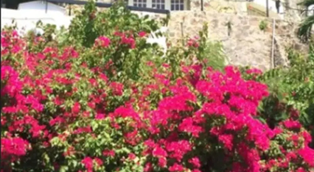 Fort Burt Hotel, Prenota Hotel Road Town Tortola