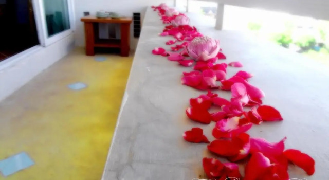 Студия The Garden Place Pattaya