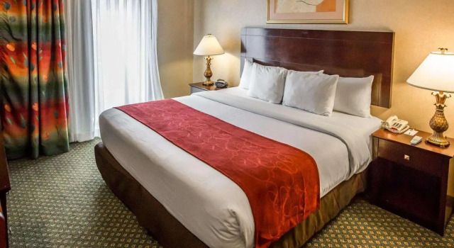Двухместный люкс Comfort Suites Oakbrook Terrace near Oakbrook Center