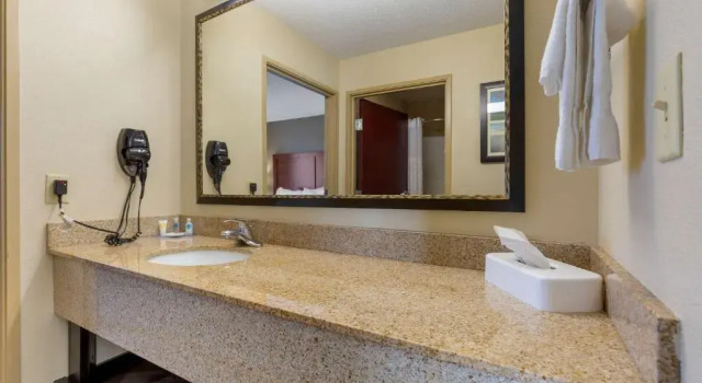 Двухместный люкс c 1 комнатой Comfort Inn & Suites Cambridge