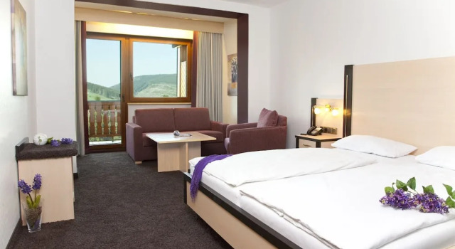 Двухместный номер Comfort с балконом и с красивым видом из окна Wald Hotel Willingen