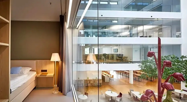 Номер Economy Hotel Vivendi