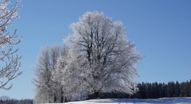 Wanderlust - Thüringer Wald, Rennsteig, Finsterbergen