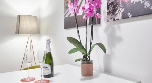 Апартаменты BarcelonaForRent Sant Pau Barcelona Suites