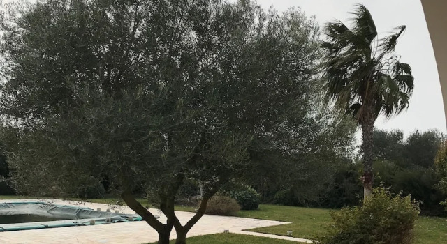 Люкс Standard с видом на бассейн Relais Masseria della Colomba - Agriturismo