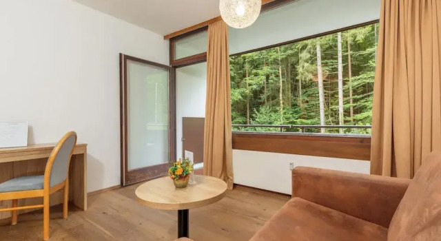 Двухместный номер Standard с видом на сад Alpenhotel Dachstein