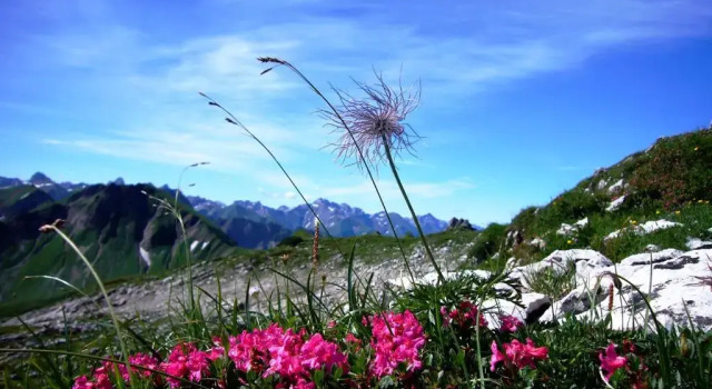 Апартаменты Landhaus Alpenflair Whg 403