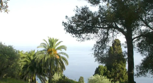 Villa Alpicella