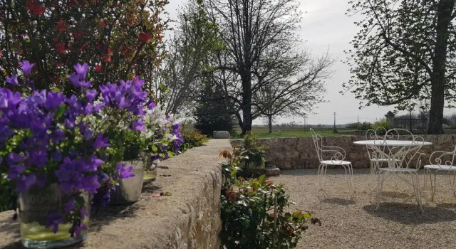 Коттедж Domaine et Manoir du Picaud