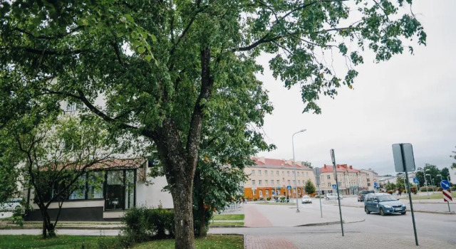Апартаменты City center Appartment