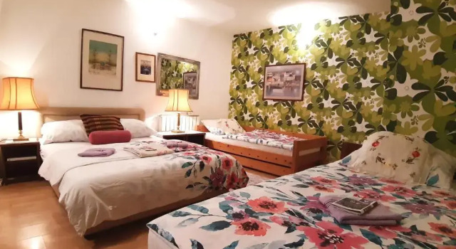 Четырёхместный номер Standard Дуплекс Hostel Pansion Lion