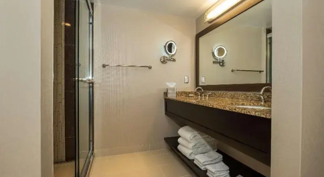Люкс с балконом Hilton Winnipeg Airport Suites