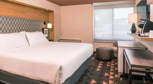 Номер Standard Holiday Inn Auburn-Finger Lakes Region, NY