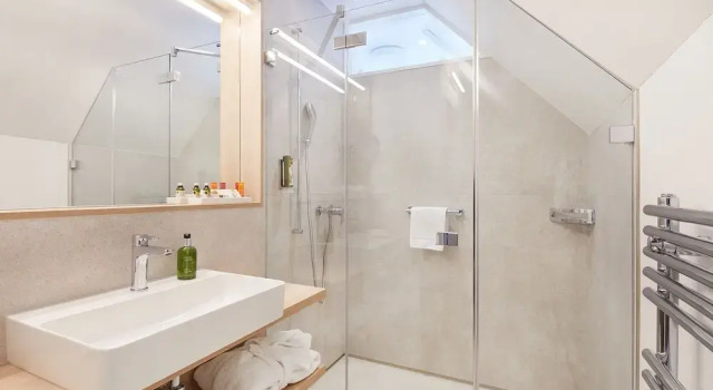 Одноместный люкс Hotel Gasthof zum Ochsen