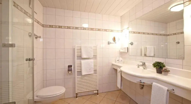 Двухместный номер Standard с балконом Hotel Schatten